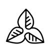 Icon of 3 leaves