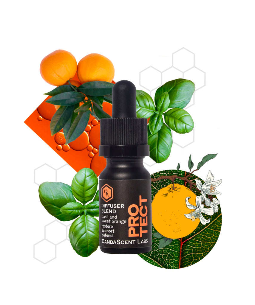 PROTECT -  Basil and Sweet Orange Diffuser Blend